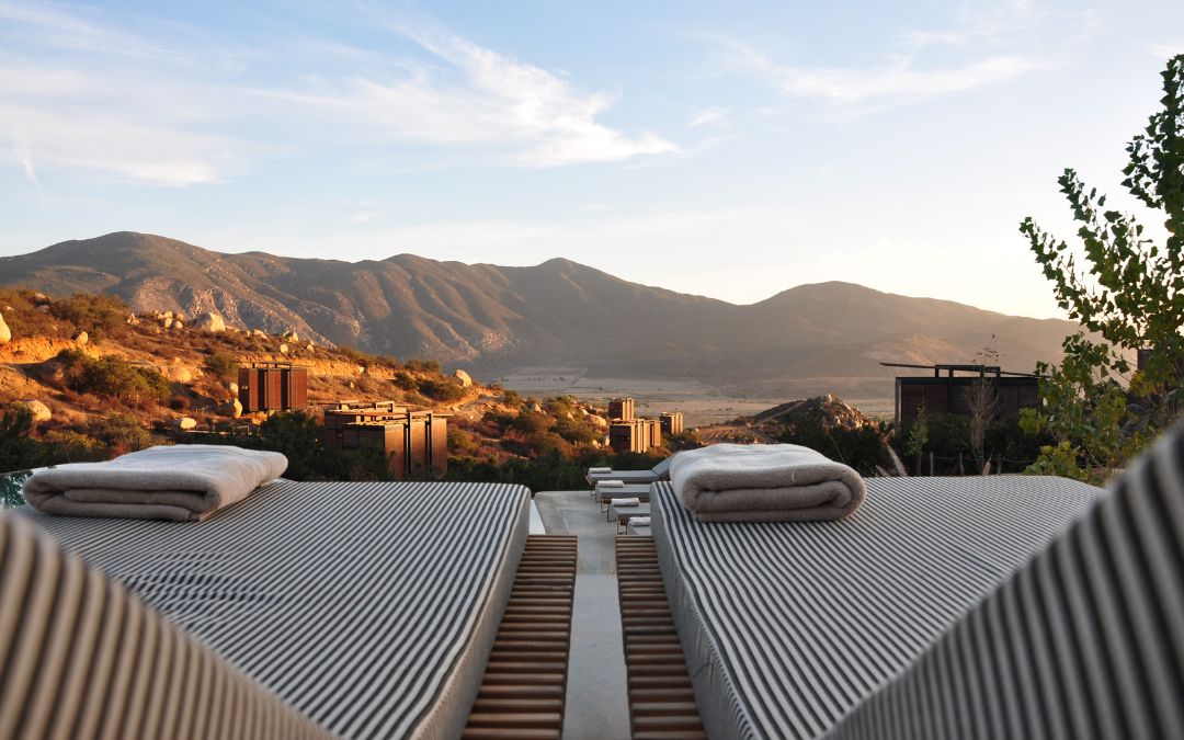 The Best Hotels In Phoenix, Arizona